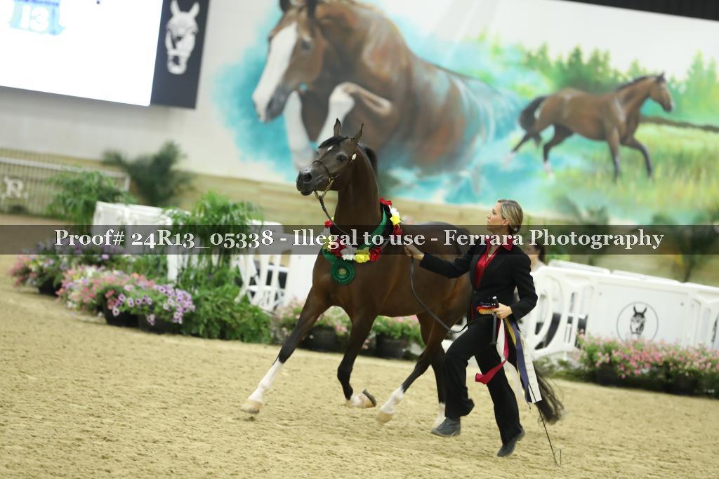 Proof 24R13_05338