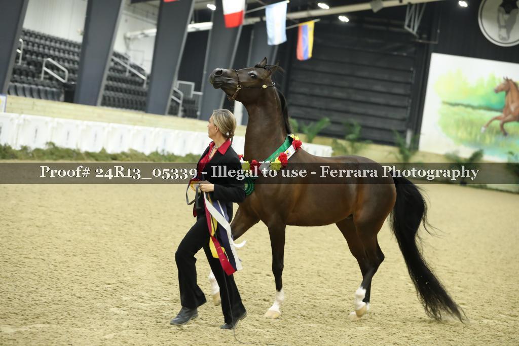 Proof 24R13_05339