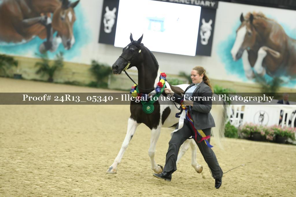 Proof 24R13_05340
