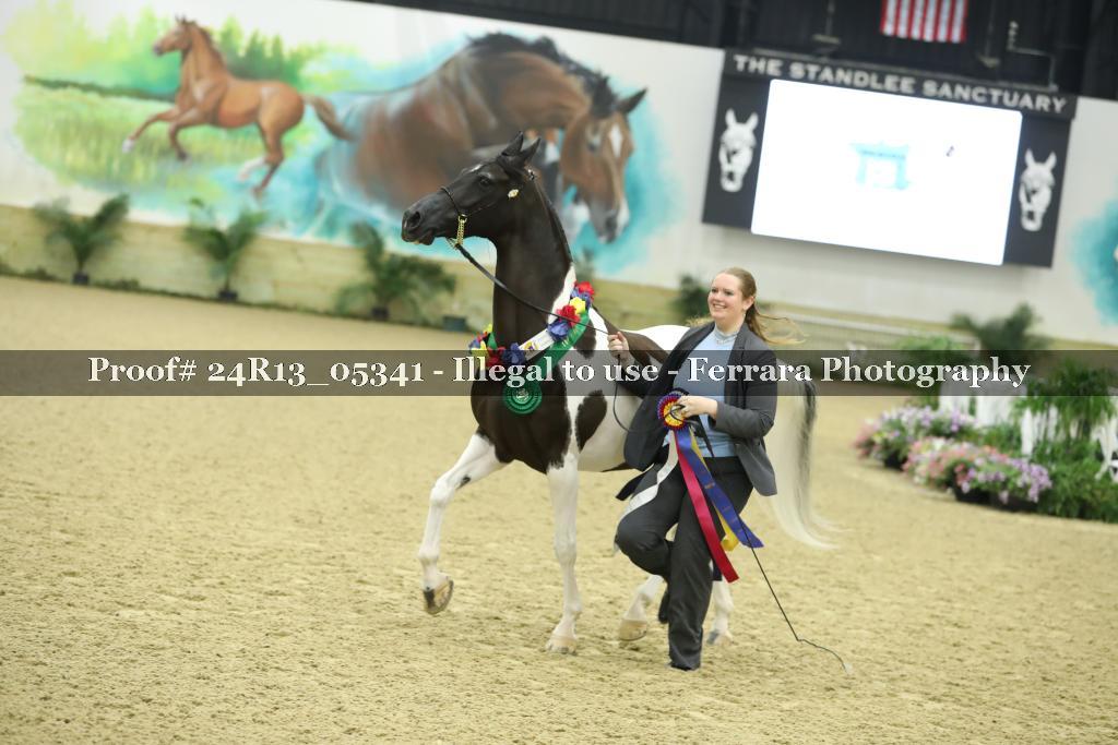 Proof 24R13_05341