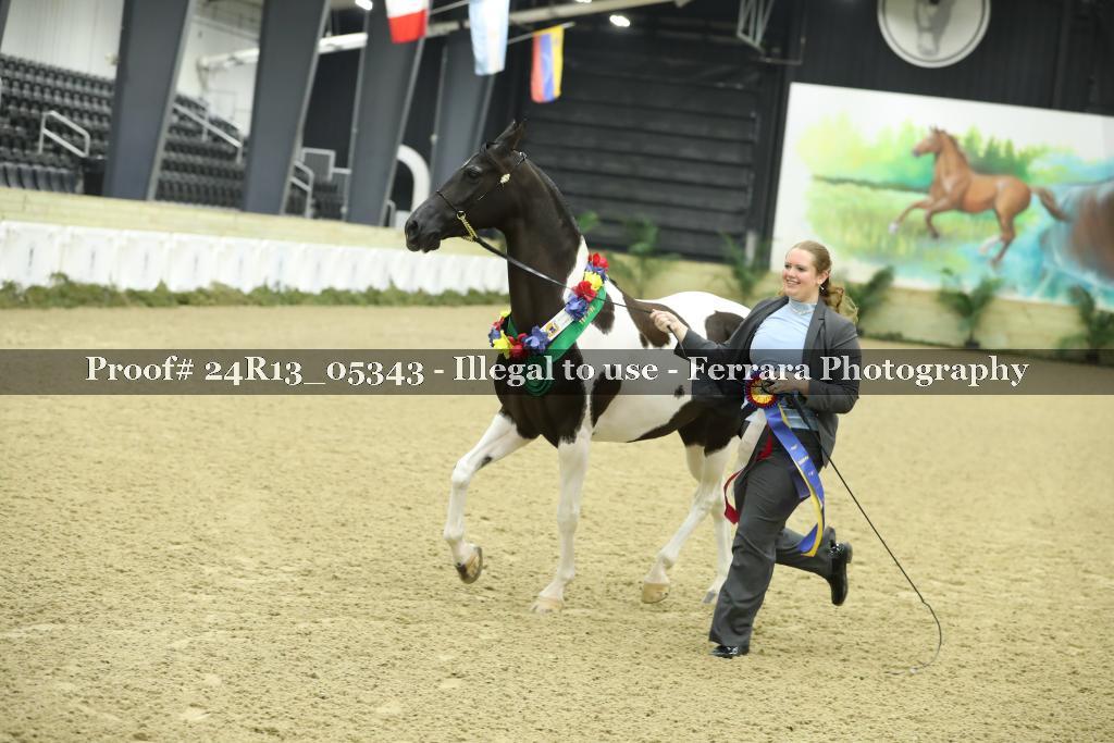 Proof 24R13_05343