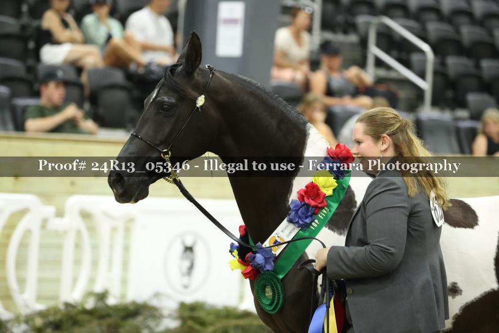 Proof 24R13_05346