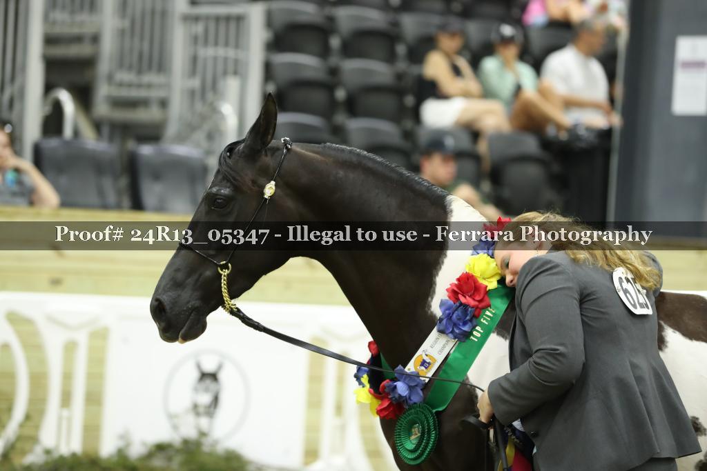 Proof 24R13_05347