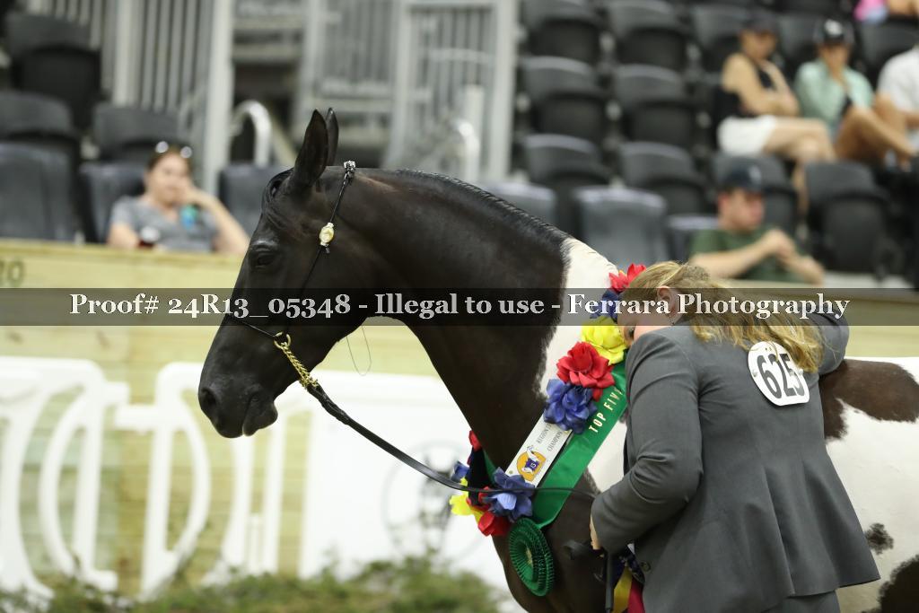Proof 24R13_05348