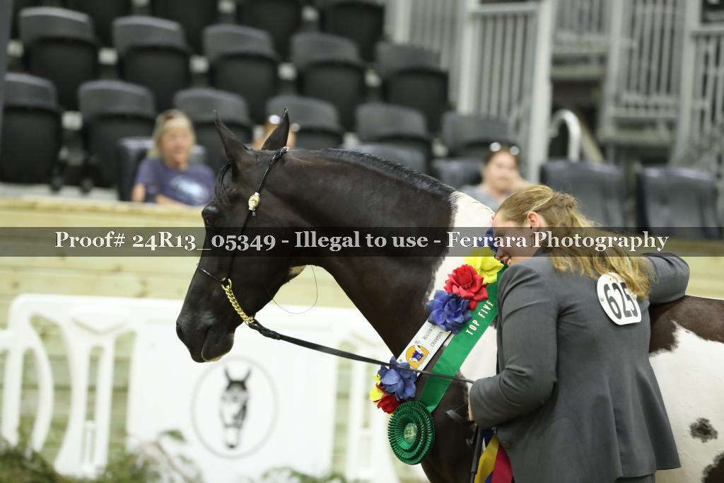 Proof 24R13_05349