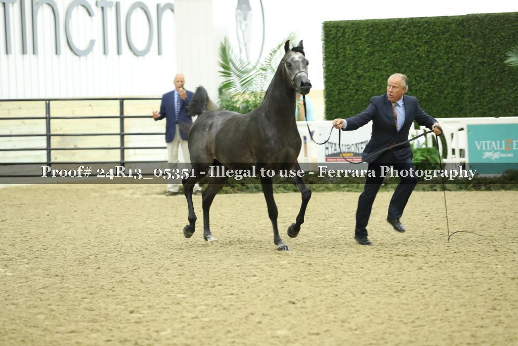 Proof 24R13_05351