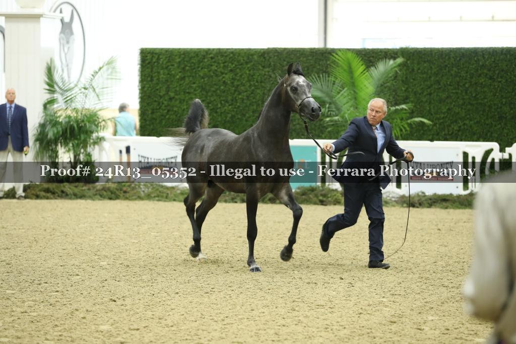 Proof 24R13_05352