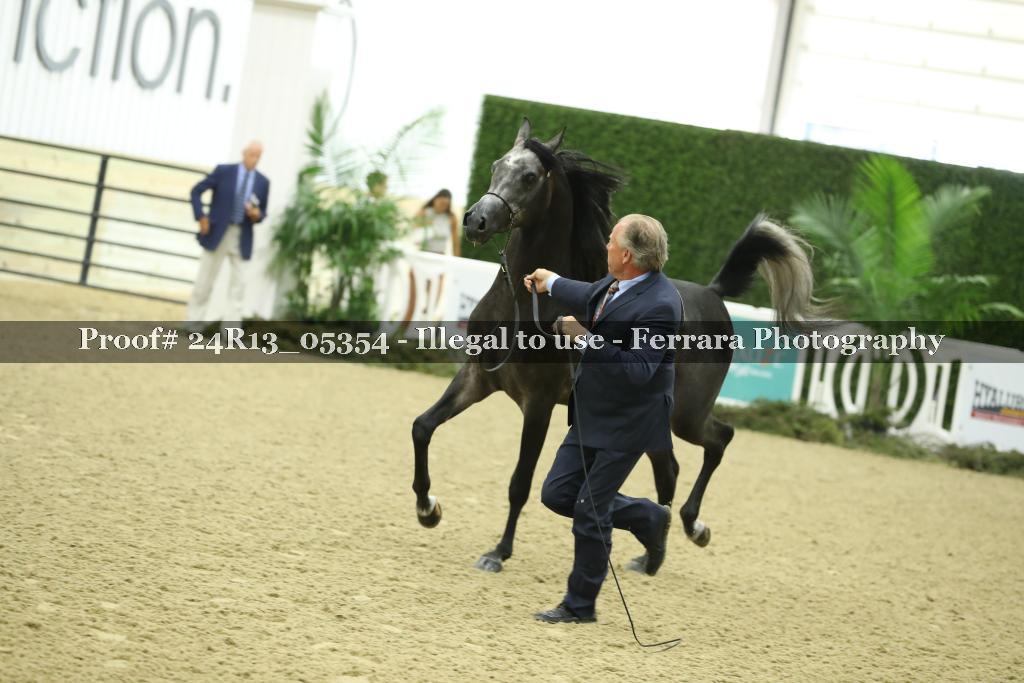 Proof 24R13_05354
