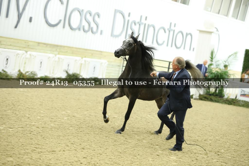 Proof 24R13_05355