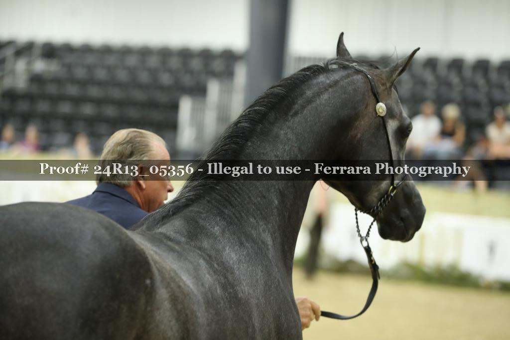 Proof 24R13_05356