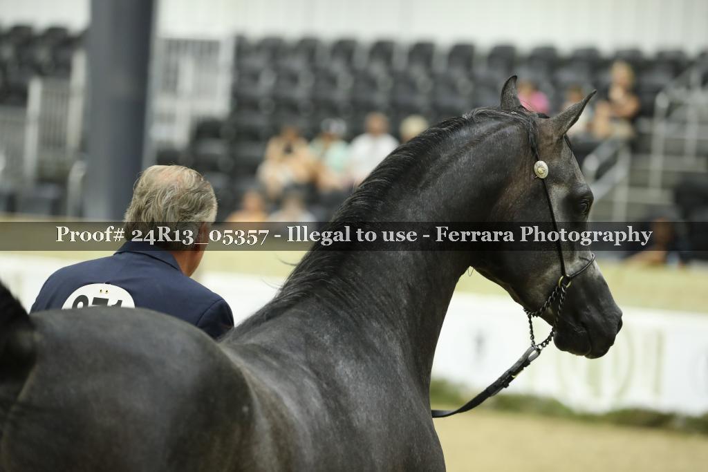 Proof 24R13_05357