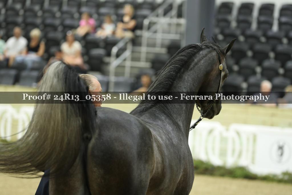 Proof 24R13_05358