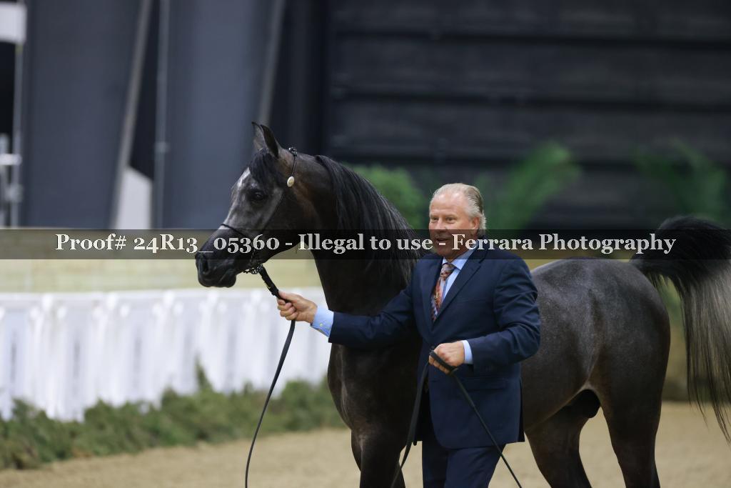 Proof 24R13_05360
