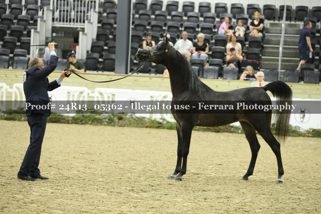 Proof 24R13_05362