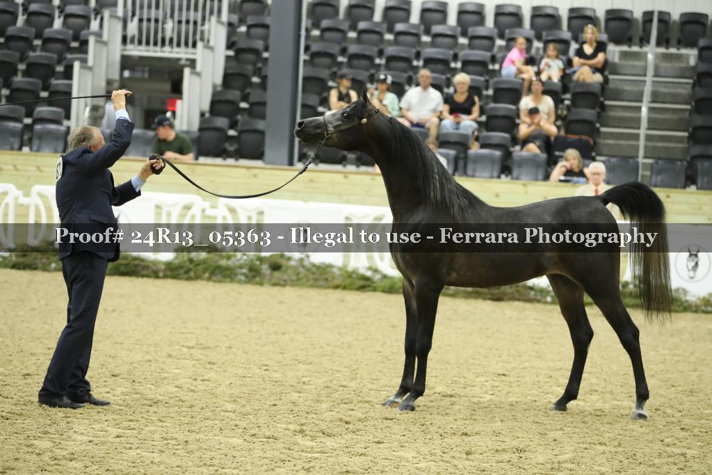 Proof 24R13_05363