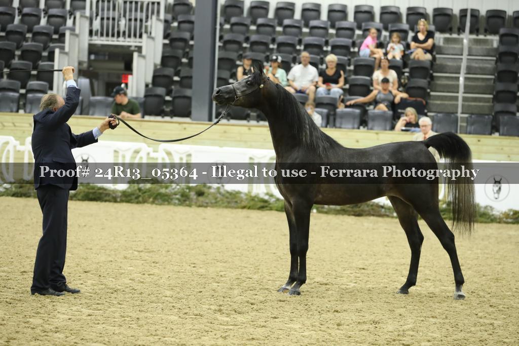 Proof 24R13_05364