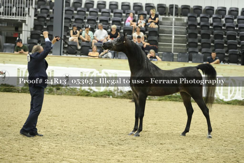 Proof 24R13_05365