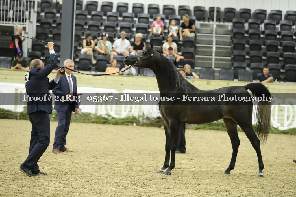 Proof 24R13_05367