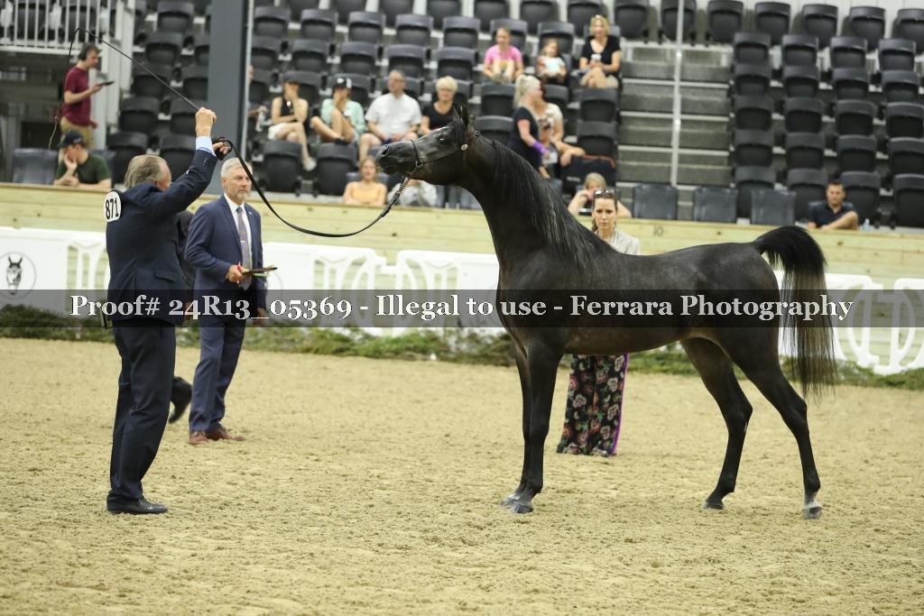 Proof 24R13_05369