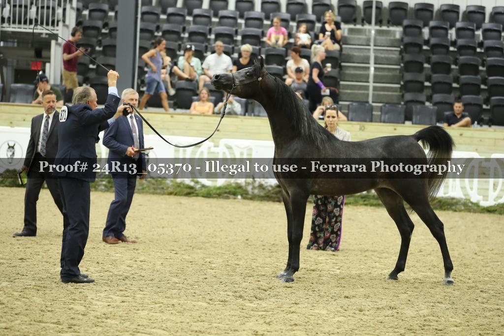Proof 24R13_05370