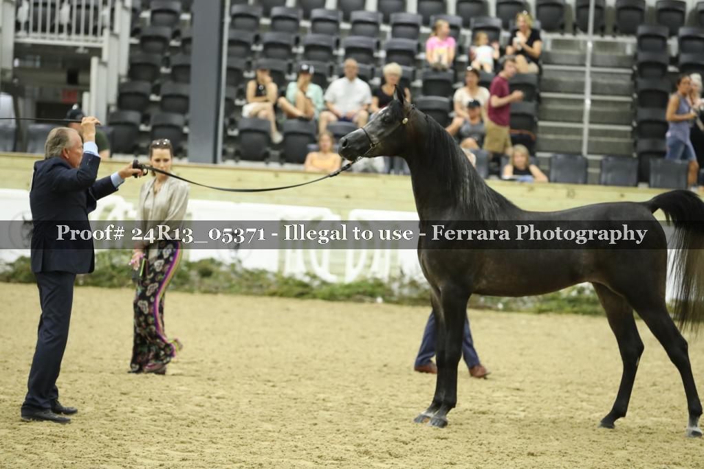 Proof 24R13_05371