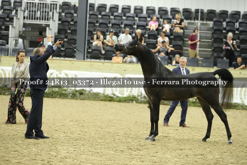 Proof 24R13_05372