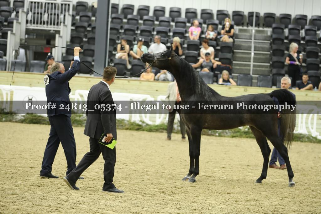Proof 24R13_05374