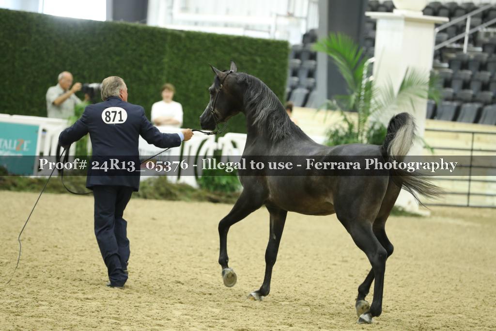 Proof 24R13_05376