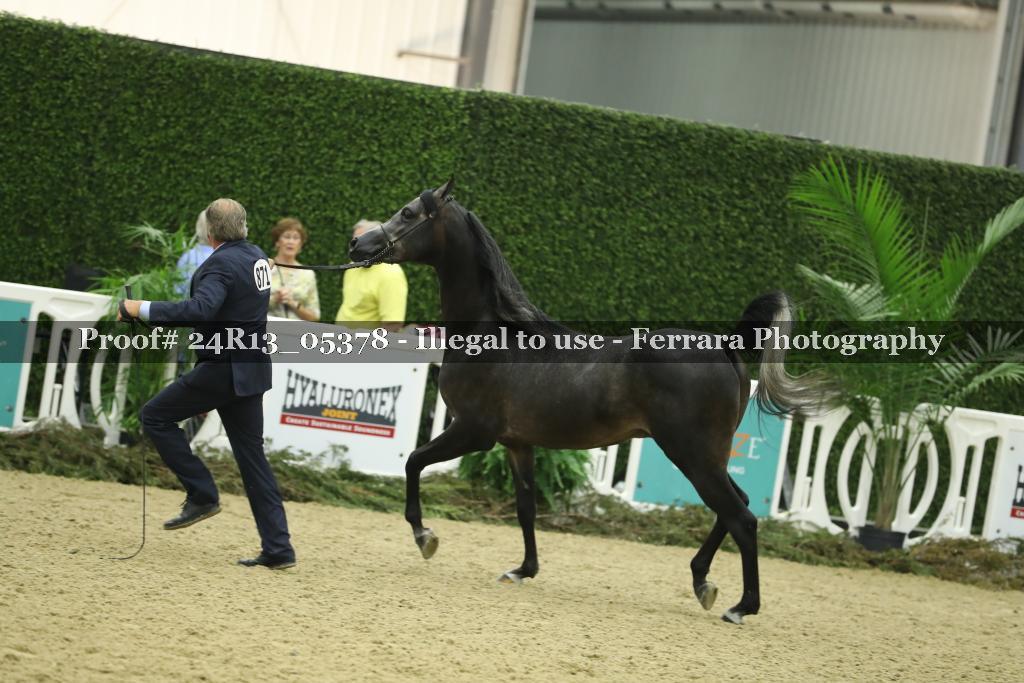 Proof 24R13_05378