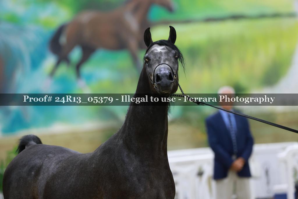 Proof 24R13_05379