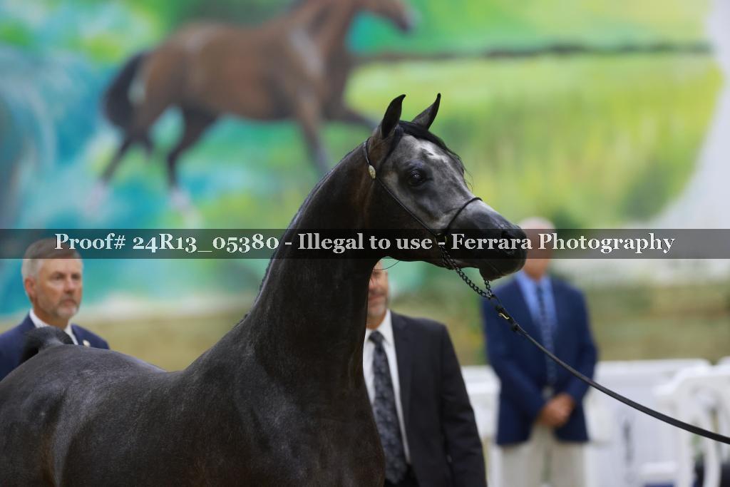 Proof 24R13_05380