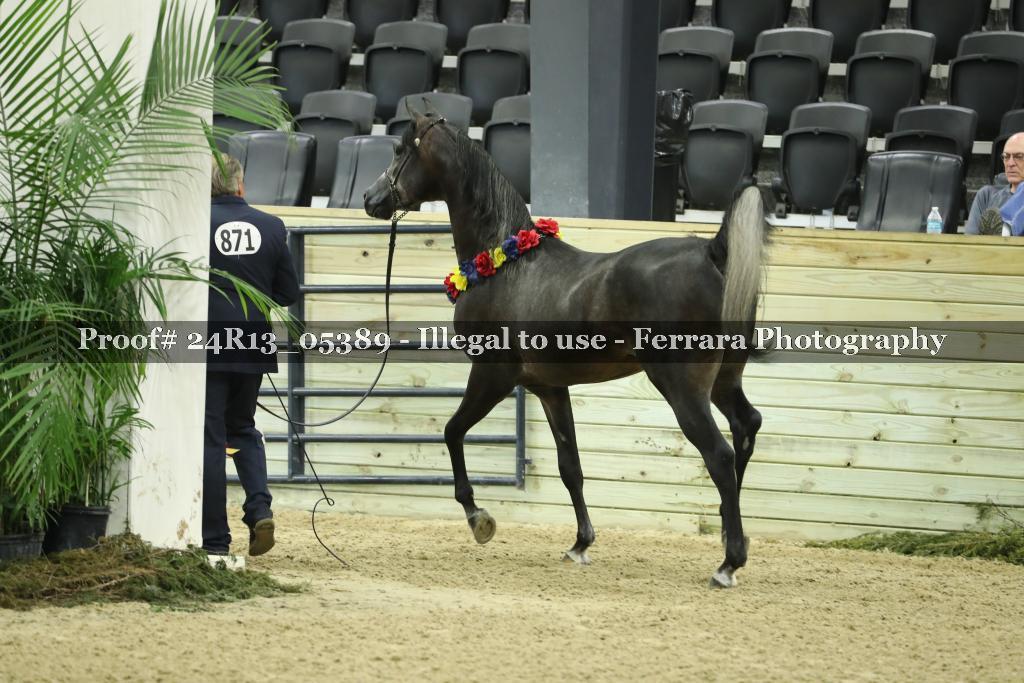Proof 24R13_05389