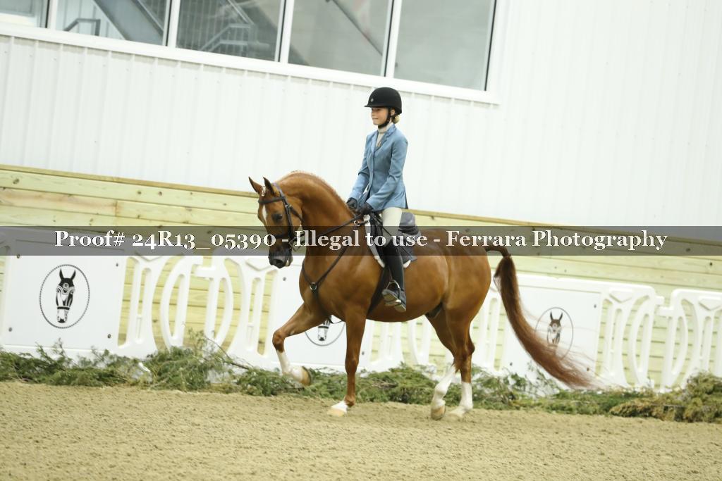 Proof 24R13_05390