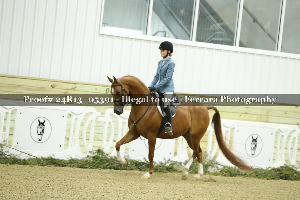 Proof 24R13_05391