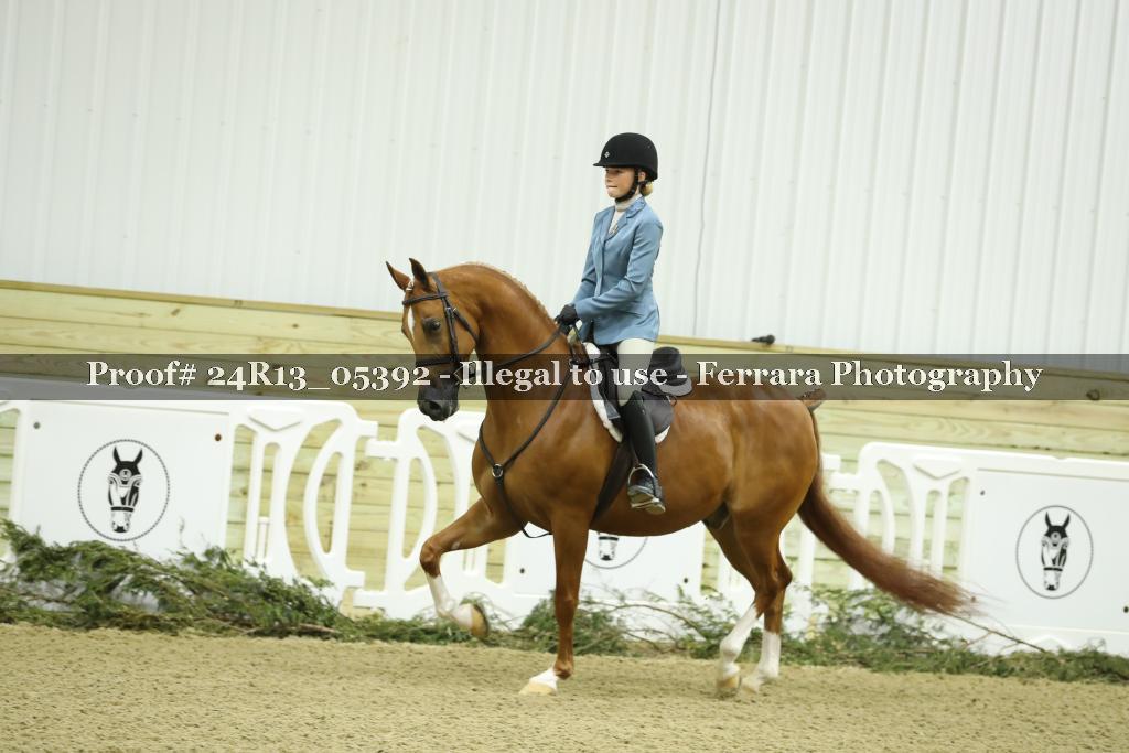 Proof 24R13_05392
