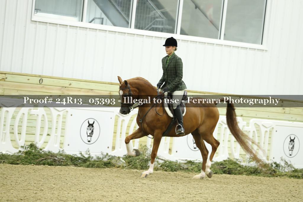 Proof 24R13_05393