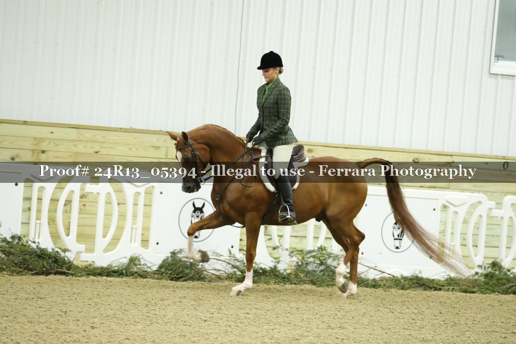 Proof 24R13_05394