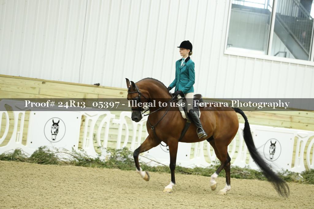 Proof 24R13_05397