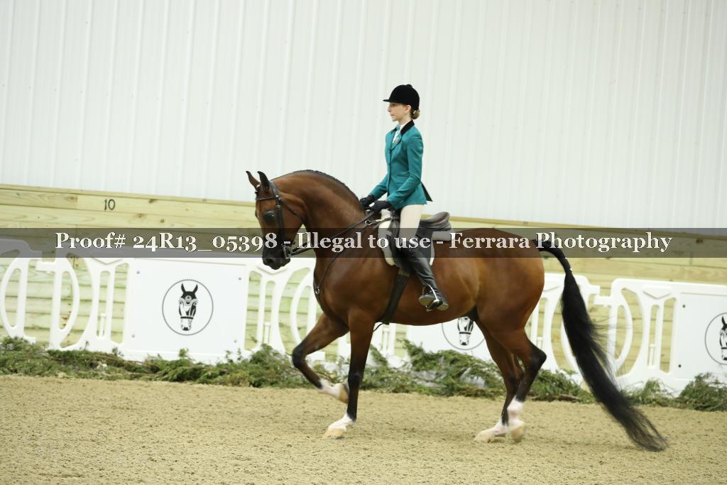 Proof 24R13_05398