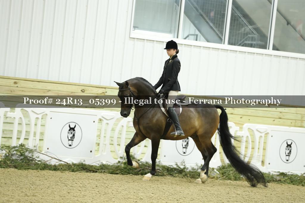 Proof 24R13_05399