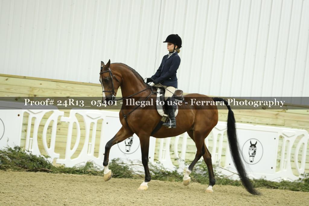 Proof 24R13_05401