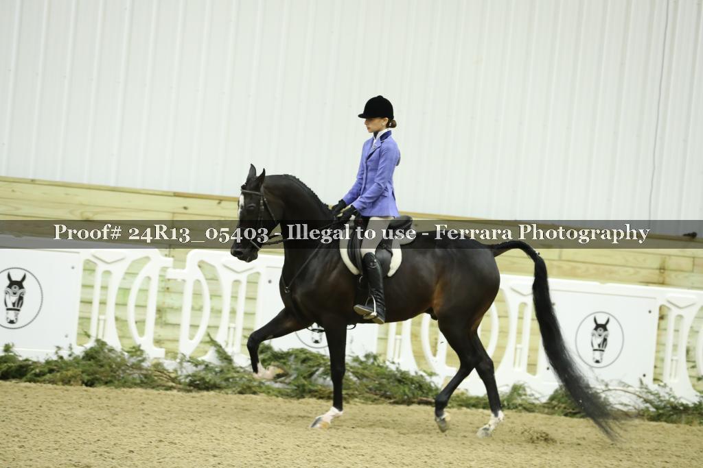 Proof 24R13_05403