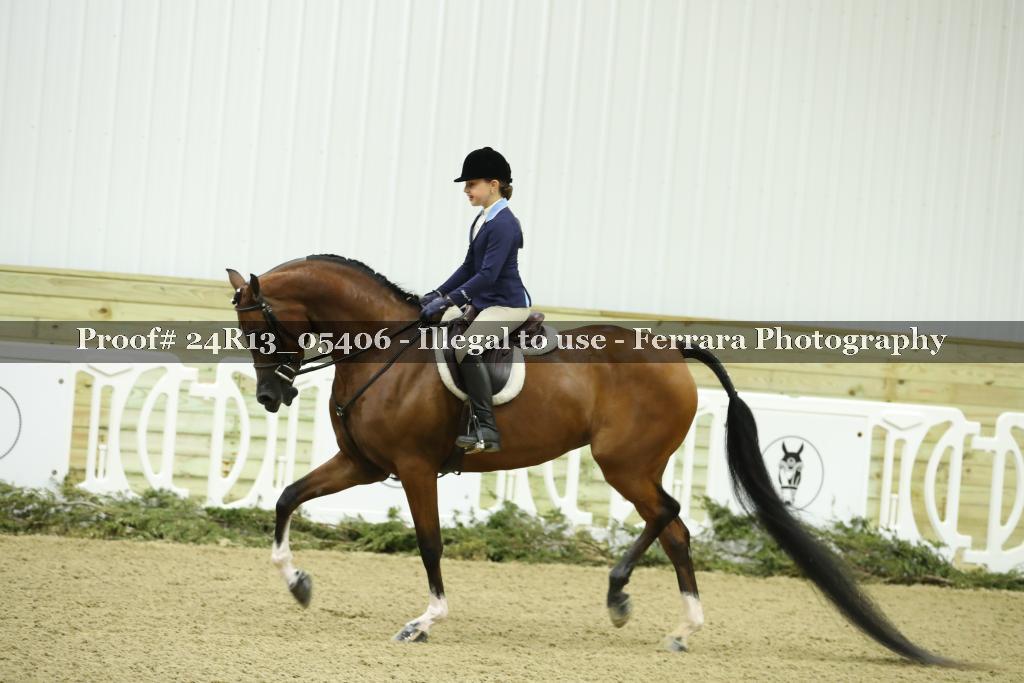 Proof 24R13_05406