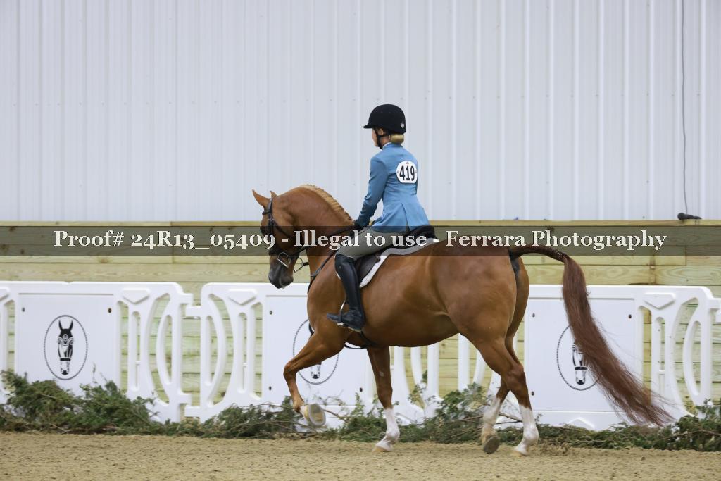 Proof 24R13_05409