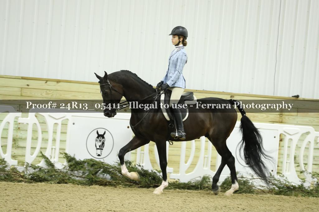 Proof 24R13_05411
