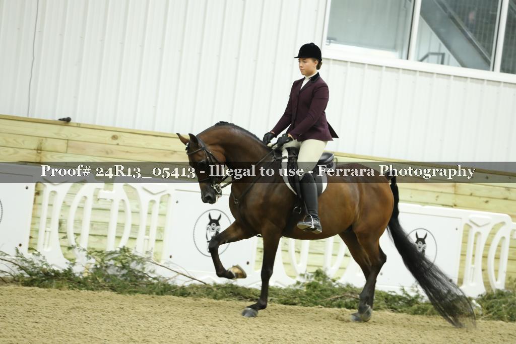Proof 24R13_05413