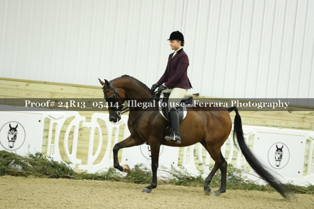 Proof 24R13_05414