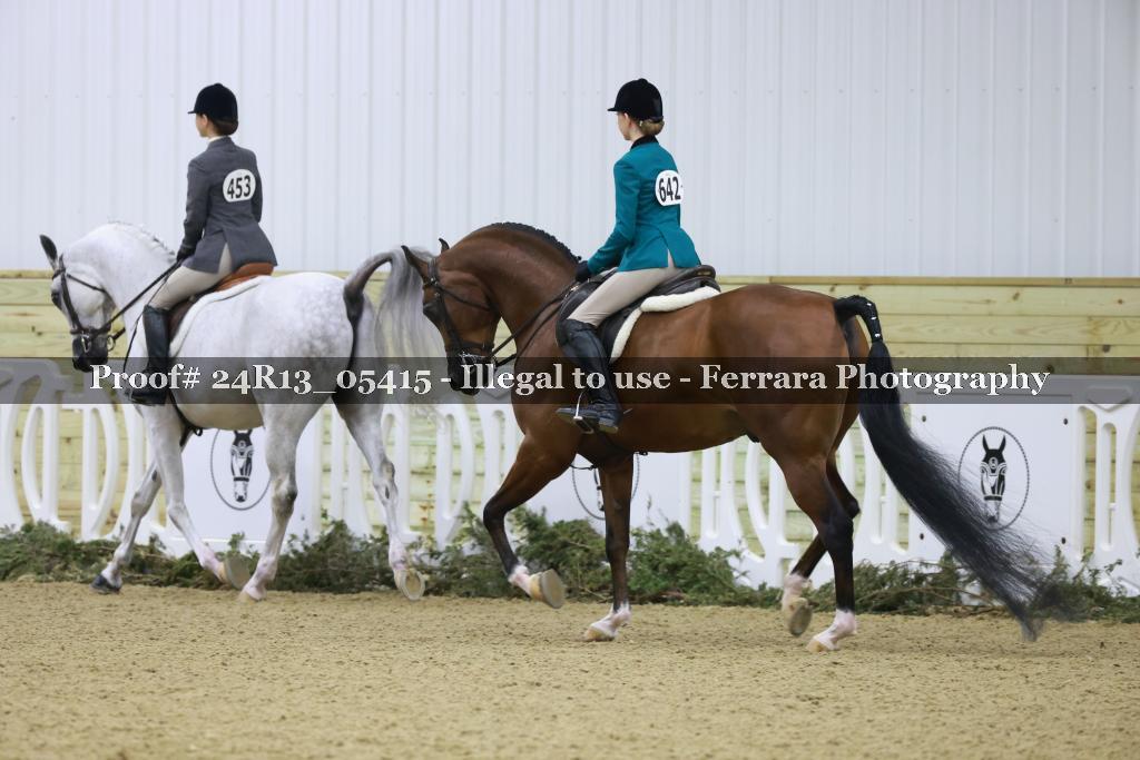 Proof 24R13_05415
