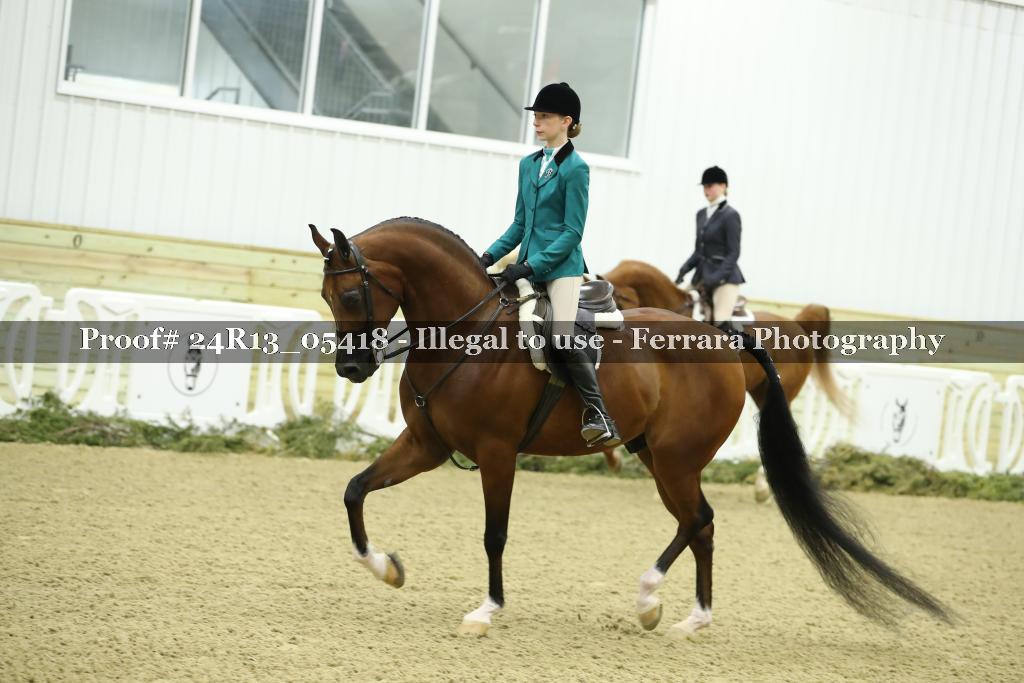 Proof 24R13_05418
