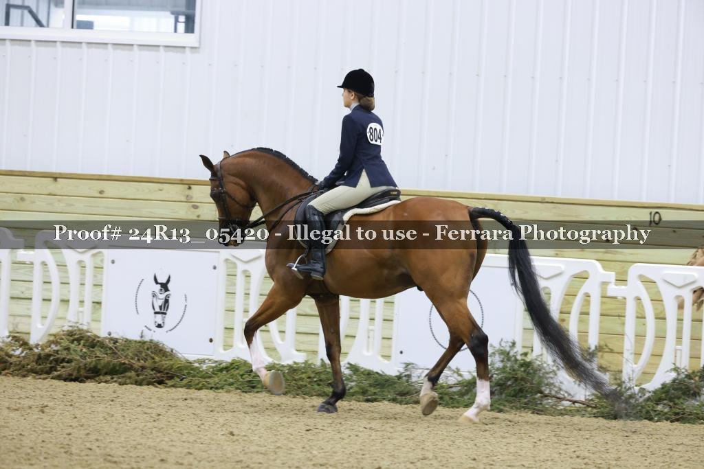 Proof 24R13_05420
